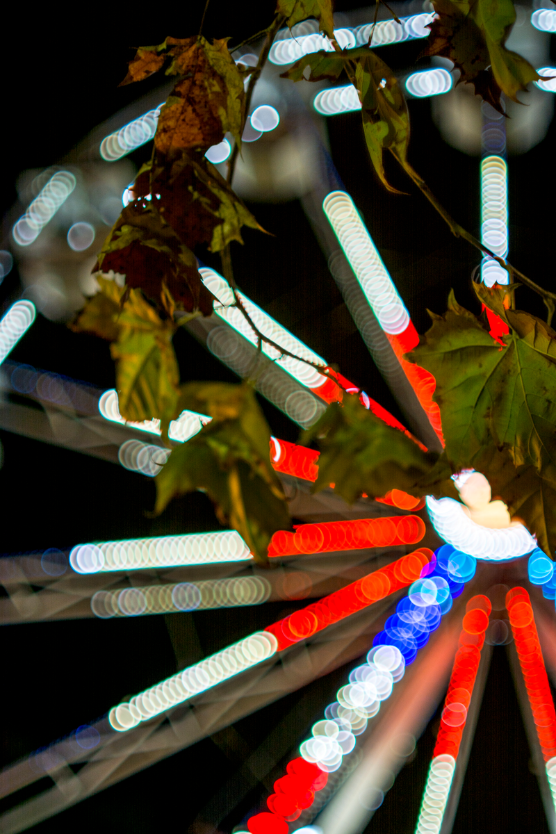 Illustration for article titled Obligatory Christmas Light Post